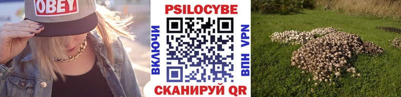 нарко площадка клад  продажа наркотиков  кракен tor  Няндома  Псилоцибиновые грибы прущие грибы 