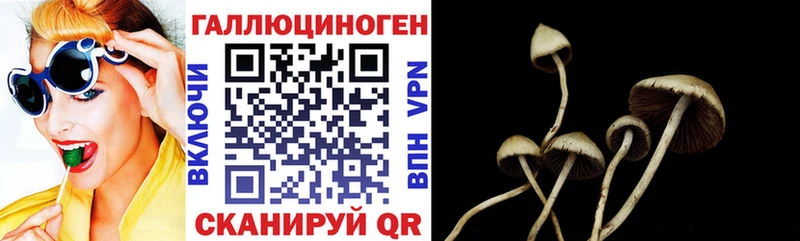 Галлюциногенные грибы мухоморы Няндома